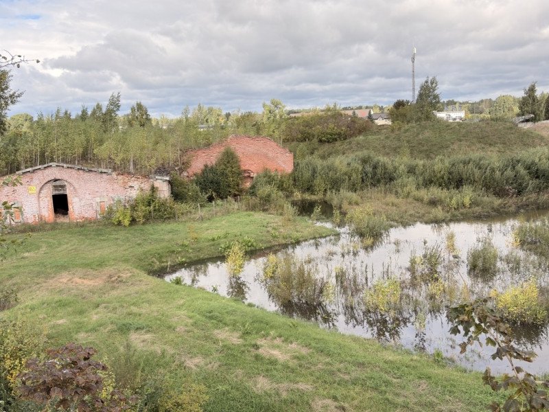 img img