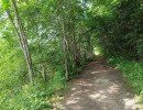 img 20230624