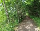 img 20230624