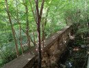 img 20230624