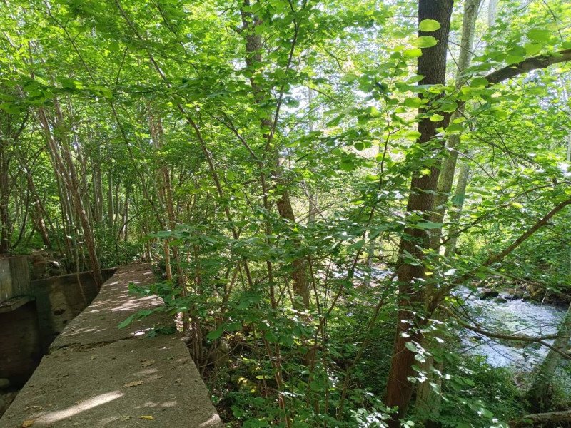 img 20230624 img 20230624