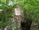 img 20230624