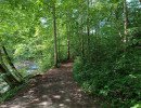 img 20230624