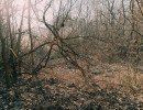 img 20250309