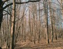 img 20250309