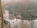 img 20250309