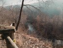 img 20250309
