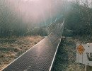 img 20250309