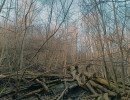 img 20250309