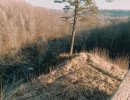 img 20250309