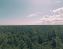img 20250629