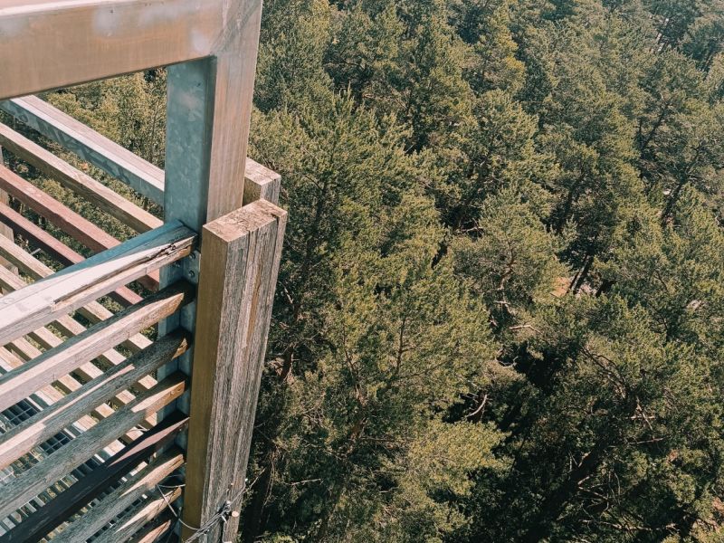 img 20250629 img 20250629