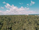 img 20250629