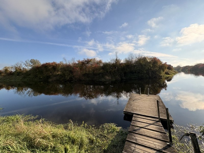 img img