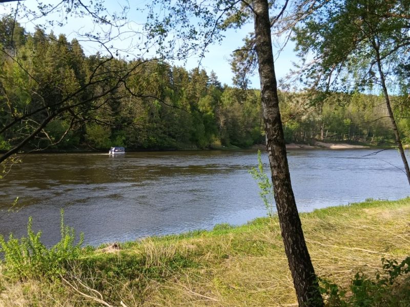 img 2026051174906
