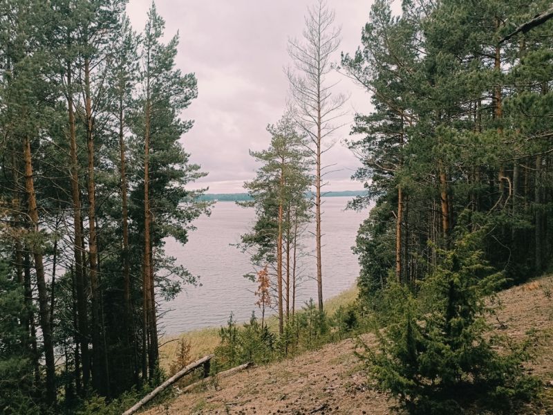 img 20230828 img 20230828