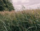 img 20230828