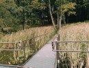 img 20230828