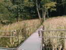 img 20230828