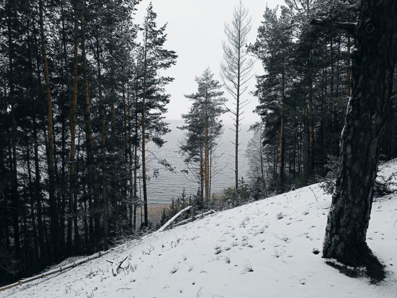 img 20231224 img 20231224