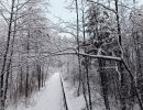 img 20231224