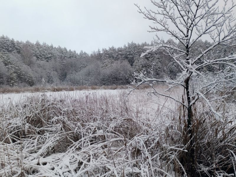 img 20231224 img 20231224