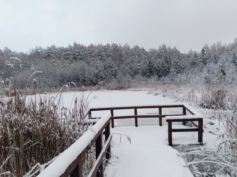 img 20231224 img 20231224