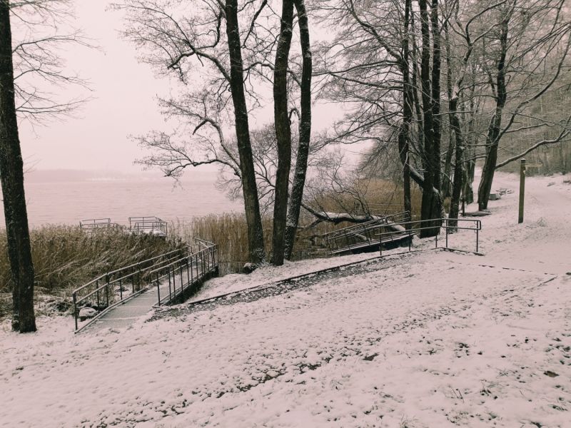 img 20231224 img 20231224