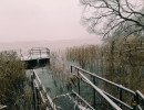 img 20231224