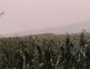 img 20231224