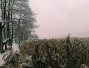 img 20231224
