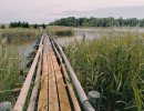 img 20250621