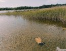 img 20250621