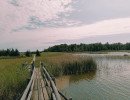 img 20250621
