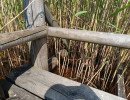 img 20250621