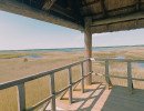 img 20250621
