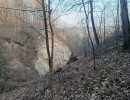 img 20250311