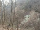 img 20250311