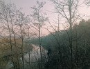 img 20250311