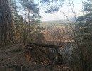 img 20250311