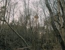 img 20250320