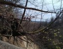 img 20250412