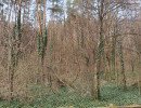 img 20250412
