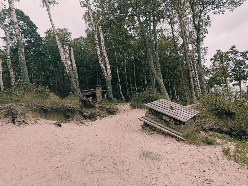 img 20250709 img 20250709