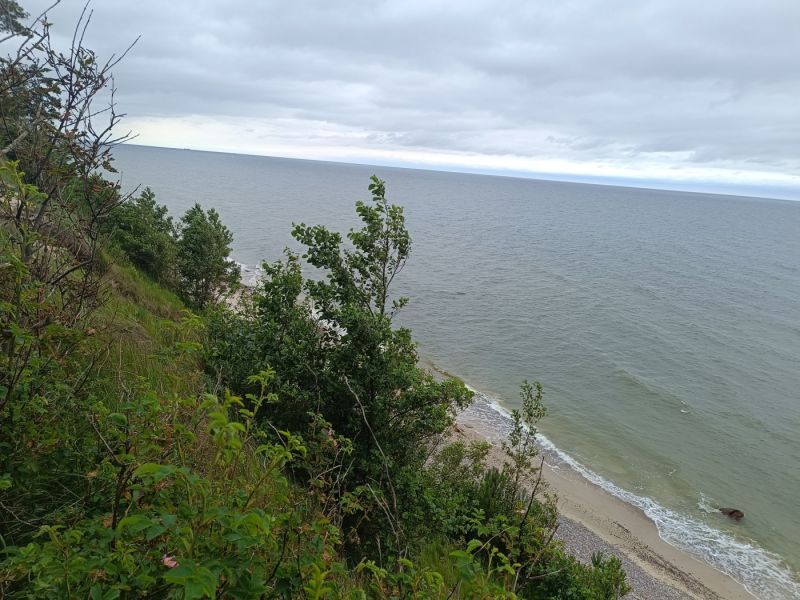 img 20250709 img 20250709