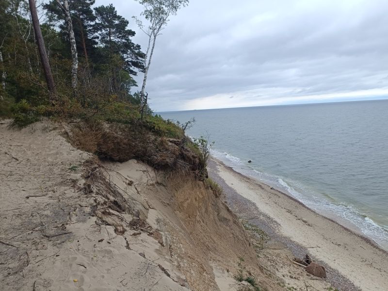 img 20250709 img 20250709