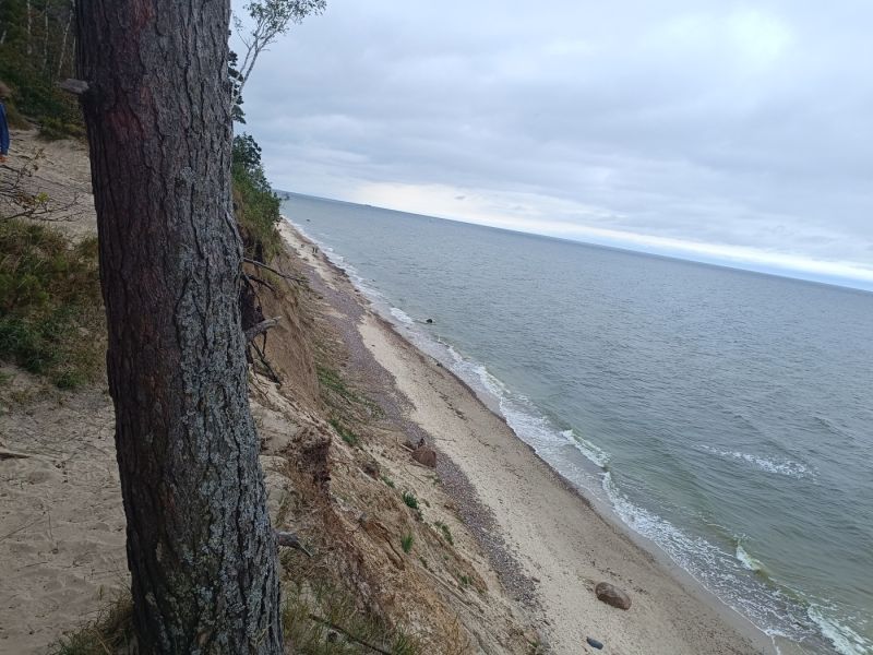 img 20250709 img 20250709