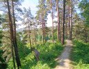 img 20230610