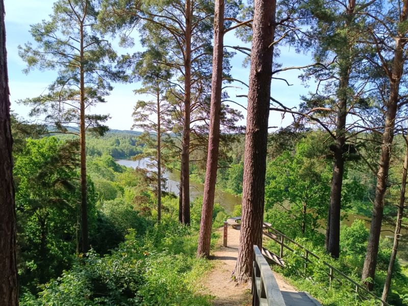 img 20230610 img 20230610