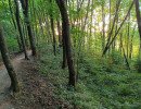 img 20230614